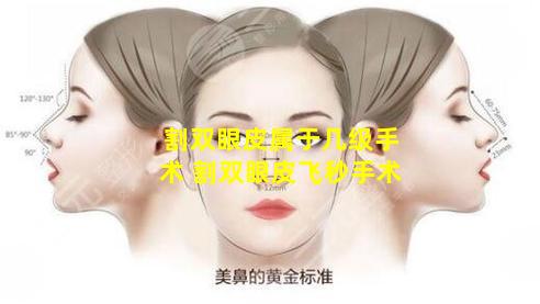 割双眼皮属于几级手术 割双眼皮飞秒手术